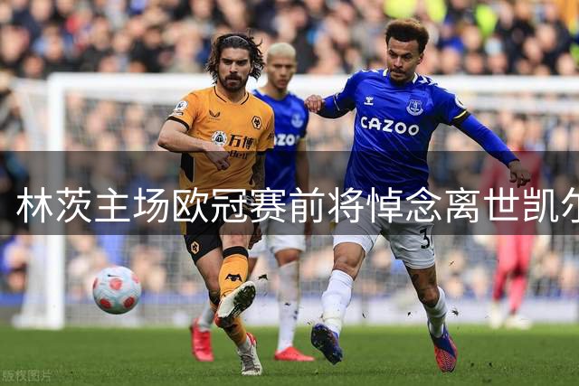 林茨主场欧冠赛前将悼念离世凯尔特人球迷